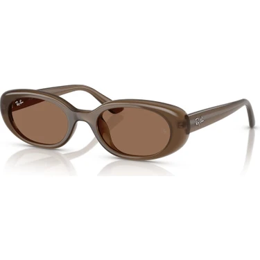 Ray-Ban Güneş Gözlüğü RB4441D 53