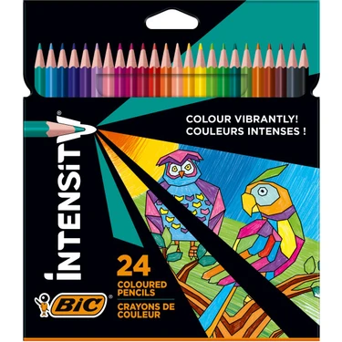 Bic Color Up  Intensity Üçgen Kuru Boya 24