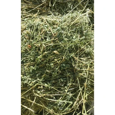 Canbay Doğal Ürünler 2 kg Bol Çiçekli Yonca Kuru Kemirgen Otu Sağlıklı Besin