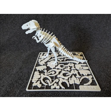 Flexilab Creative T-Rex 3D Dinozor İskelet Maket Seti | Eğitici Oyuncak Puzzle | STEM Aktivite ve