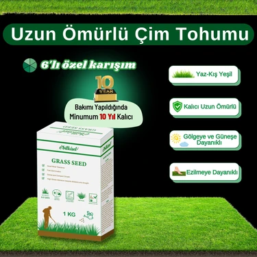 Ebitkisel Çok Yıllık Çim Tohumu 1 kg Uzun Ömürlü 6'lı Karışım Gölge ve Aşırı Güneşli Alan Uygun