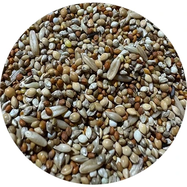 Çırpan Kuş Dünyası Yavru ve Hasta Kuş Yemi 1 kg (ÖZEL VAKUMLU