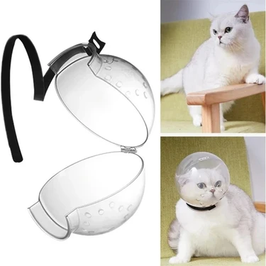 Hastürk Kedi Bakım ve Koruma