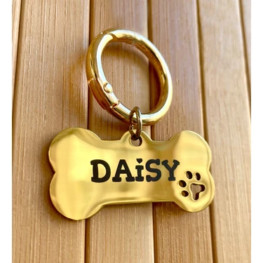 Loren Gift Isme Özel Çelik Kedi Köpek Isimlik Künyesi