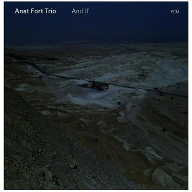 Anat Fort Trio - And