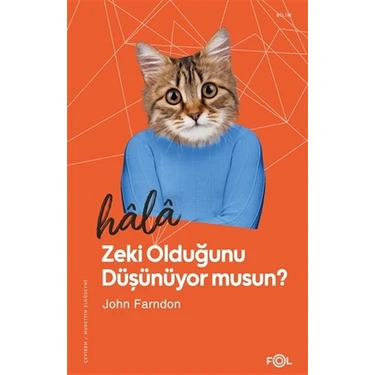 Mabelme Store Hala Zeki Olduğunu Düşünüyor