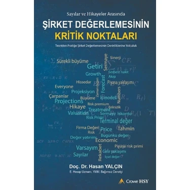 Sayılar ve Hikayeler Arasında Şirket Değerlemesinin Kritik