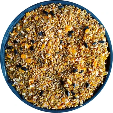 Bizim Yem Karışık Tavuk Yemi Atom - 10 kg (Tavuk,ördek,kaz ve Tüm Kanatlılar