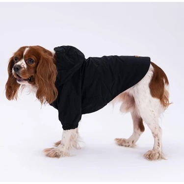 Siyah Mont  Köpek Mont Köpek Kıyafeti Köpek Yağmurluğu(Küçük-Büyük