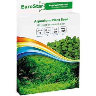 Eurostar Bitki Tohumu Glossostigma