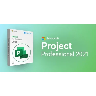 Microsoft Project Professional