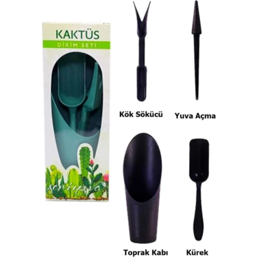 Serinova Kaktüs Sukulent Dikim Bakım Seti 4 Parça