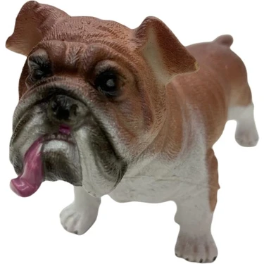 Najmaddin Soft Köpekler - Amerikan Bulldog Cinsi Köpek -