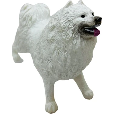 Najmaddin Soft Köpekler - Samoyed Cinsi Köpek  -