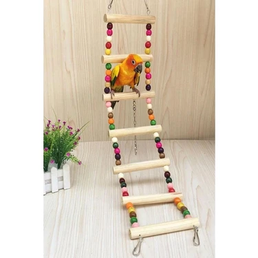 Dmcpetstore 7 Basamaklı